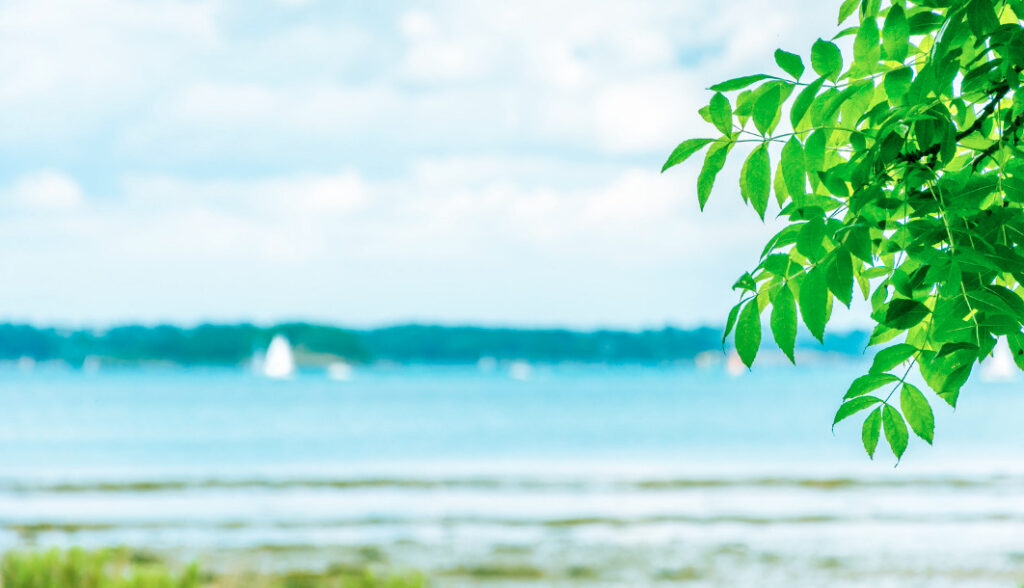 劣等感を感じる/職場の人間関係の悩み 仕事/人間関係/職場の人間関係に疲れた方へ 浅江友加里のマインドコーチセッション|劣等感が生み出す「もっと頑張らなきゃ」の無限ループ